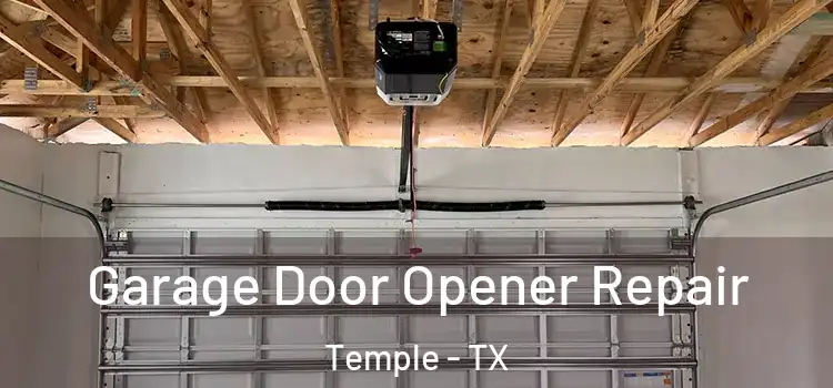  Garage Door Opener Repair Temple - TX